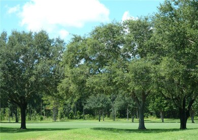 26321 Avenida Las Colinas, Howey In the Hills, FL 34737 - photo 3