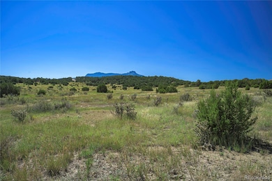 13700 Corundum Rd, Trinidad, CO 81082 - photo 6