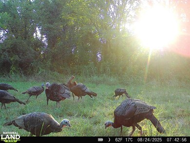 00000 E Hwy 400 unit Weir KS 66781, Weir, KS 66781 - photo 7