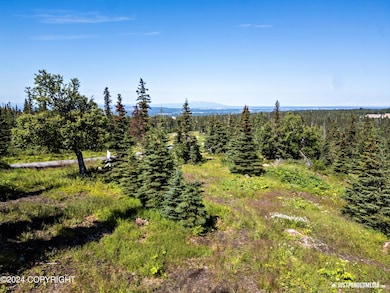 05-DJI_0670