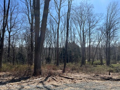 86-1 Douglass Ave, Bernardsville, NJ 07924 - photo 2