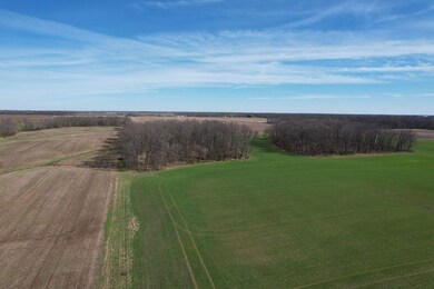 Off Pintail Rd unit Lot WP002, Tamaroa, IL 62888 - photo 3