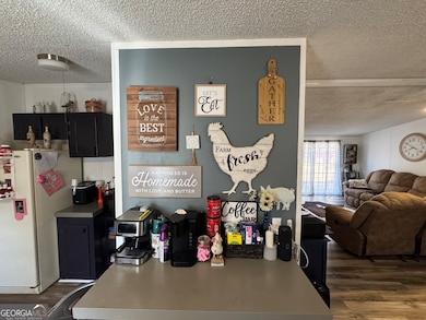 100 Lakeview Dr, Colbert, GA 30628 - photo 4