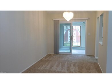 5100 W 229th St, Cleveland, OH 44126 - photo 5