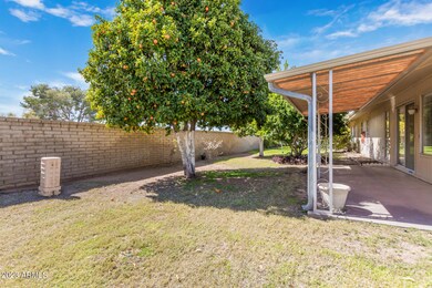 10905 W Cameo Dr, Sun City, AZ 85351 - photo 6