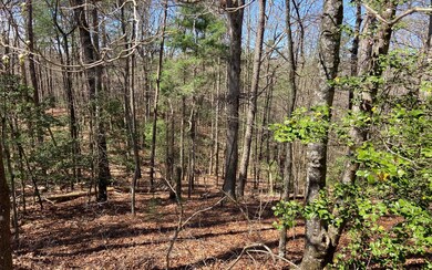 0 Hiawassee Ct unit 323830, Ellijay, GA 30540 - photo 2