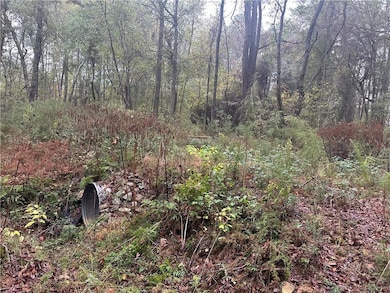 View of local wilderness featuring a forest view