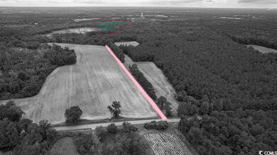 36.2 Acres Privetts Rd unit 36.20 Acres, W/20' R, Conway, SC 29526 - photo 2