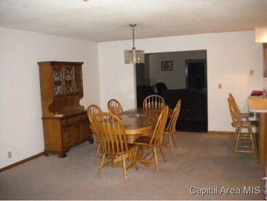20582 Garner Rd, Virginia, IL 62691 - photo 6