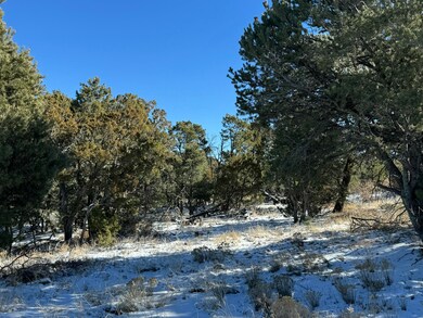 Lot 2 Bolivar Loop, Tijeras, NM 87059 - photo 5