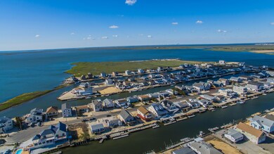170Flamingo-0054