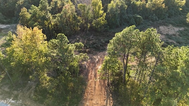 6 Tyro Branch Cove, Senatobia, MS 38668 - photo 2