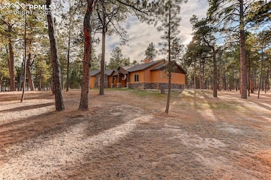 14994 Snowy Pine Point, Colorado Springs, CO 80908 - photo 4