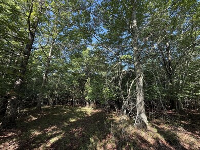 0 Bluff View Dr unit RTC2973731, Dunlap, TN 37327 - photo 7