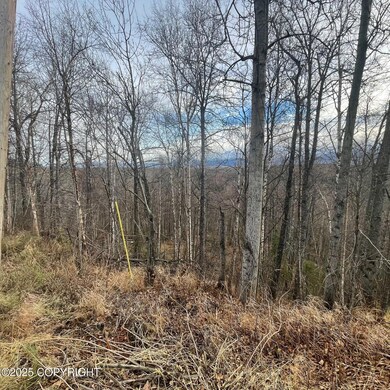 5500 W Birch Harbor Dr, Knik-Fairview, AK 99654 - photo 5