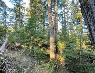 L9 B5 Beach Rd, Whale Pass, AK 99921 - photo 6