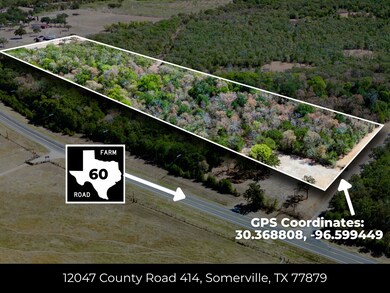 12047 County Road 414, Somerville, TX 77879 - photo 7