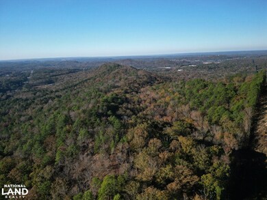 Hwy 11, Pelham, AL 35124 - photo 7