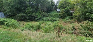 0 Christie unit QC4225107, Davenport, IA 52803 - photo 3