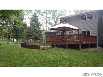 Beautiful backyard