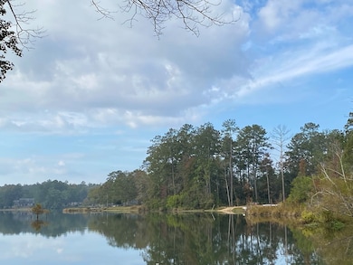 00 Rock Ranch Rd, Picayune, MS 39466 - photo 6