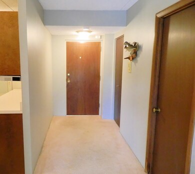ENTRANCE, COAT CLOSET.
