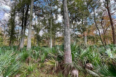 02 Manchac Rd, Saint Gabriel, LA 70776 - photo 6