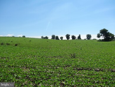 5 Meadow View Ln, Rixeyville, VA 22737 - photo 4