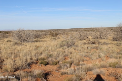 Lot 224 Ccr, Heber, AZ 85928 - photo 2