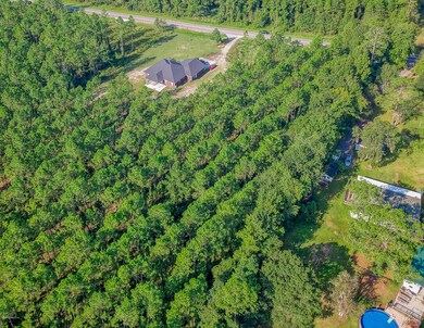 46150 Middle Rd, Callahan, FL 32011 - photo 5