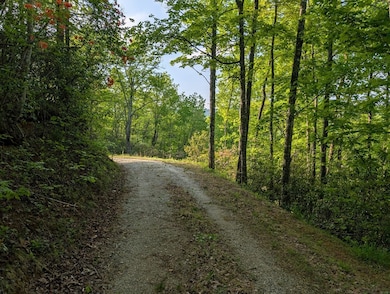 00 Cherokee Mine Rd, Franklin, NC 28734 - photo 2