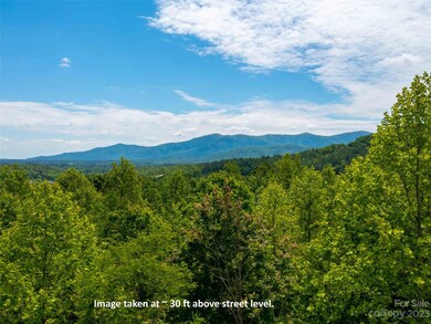 Lot 145 Wee Burn Cove, Mill Spring, NC 28756 - photo 6