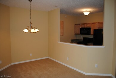707 Aqua Marine Blvd unit 26, Avon Lake, OH 44012 - photo 4