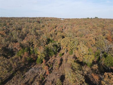 343 Brooken Mountain Rd, Stigler, OK 74462 - photo 7