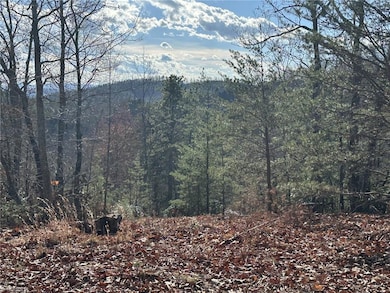 TBD1 Scout Rd, Lenoir, NC 28645 - photo 7