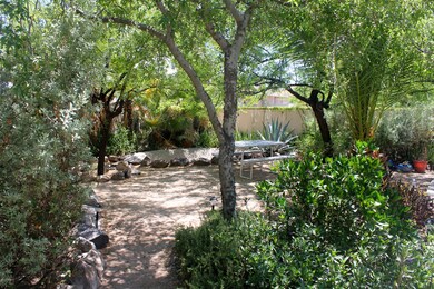 back yard