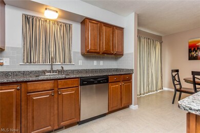 741 Dunny Ave, Sheffield Lake, OH 44054 - photo 6