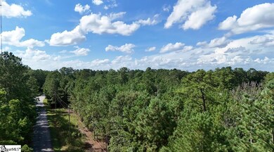0 Neighbors Rd unit and Double A Trail, Clinton, SC 29325 - photo 3