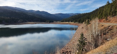 454 Mccoy Creek Dr, Durango, CO 81301 - photo 3