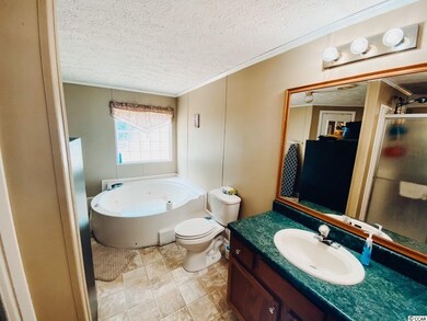 4384 Highway 319, Aynor, SC 29511 - photo 7