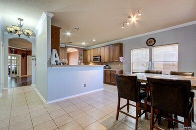 10811 Bramante Ln, Helotes, TX 78023 - photo 7