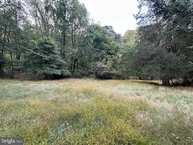 15325 Holly Grove Rd, Silver Spring, MD 20905 - photo 6