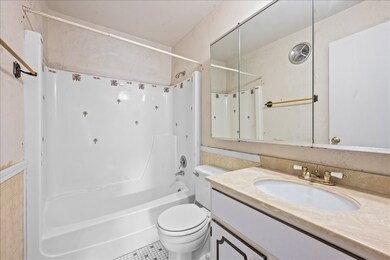 1206 E Fairview St unit 305, Arlington Heights, IL 60005 - photo 7