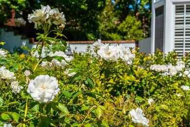 29455 Weeping Willow Dr Agoura-large-002