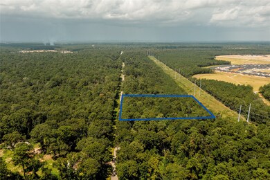 0 Lt 23 Rolling Hill Oaks, Porter, TX 77365 - photo 4