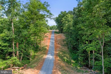 -0- Swartz Rd unit 3.2 & 3.9 ACRES, Woodstock, VA - photo 2