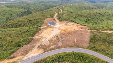 241 Springer Rd, Hohenwald, TN 38462 - photo 3