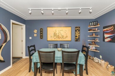 Dining room with light hardwood / wood-style floor