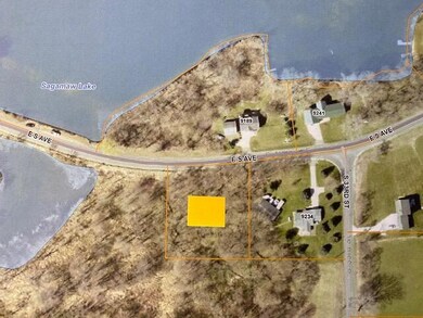 V/L E South Ave, Vicksburg, MI 49097 - photo 2