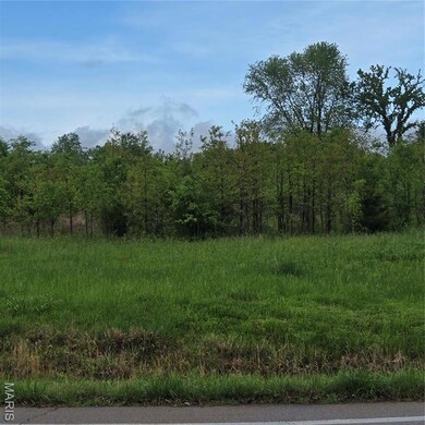 0 State Route Dd unit MAR25027340, Festus, MO 63028 - photo 2